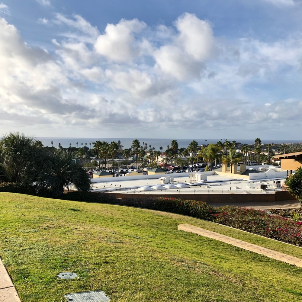 Meet your Posher, Adela